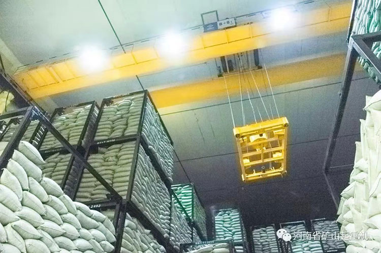 8+8智能倉(cāng)儲(chǔ)起重機(jī)